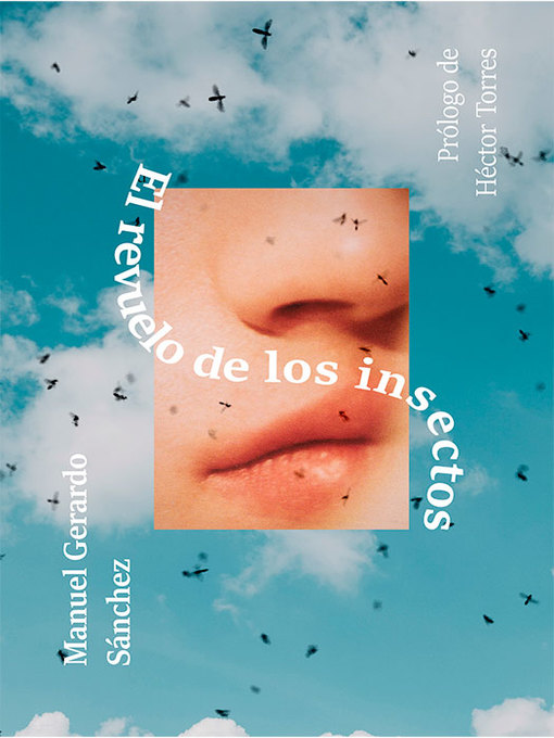 Cover image for El revuelo de los insectos